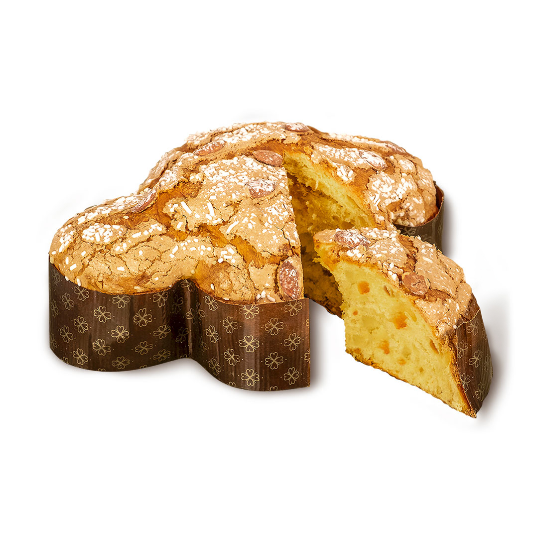 colomba-classica-2